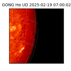 gong - 2025-02-19T07:00:02