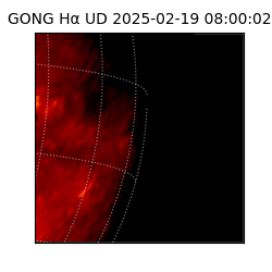 gong - 2025-02-19T08:00:02