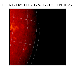 gong - 2025-02-19T10:00:22