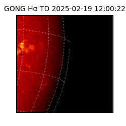 gong - 2025-02-19T12:00:22