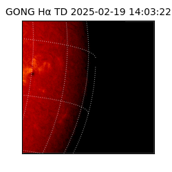 gong - 2025-02-19T14:03:22