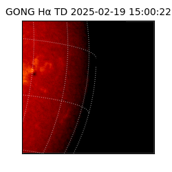 gong - 2025-02-19T15:00:22