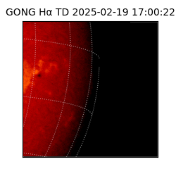 gong - 2025-02-19T17:00:22