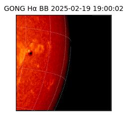 gong - 2025-02-19T19:00:02
