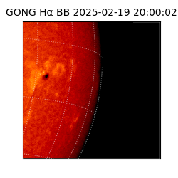 gong - 2025-02-19T20:00:02