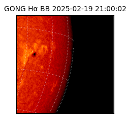 gong - 2025-02-19T21:00:02