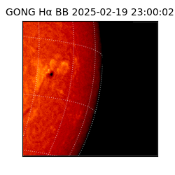 gong - 2025-02-19T23:00:02