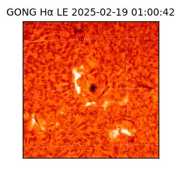 gong - 2025-02-19T01:00:42