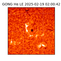 gong - 2025-02-19T02:00:42