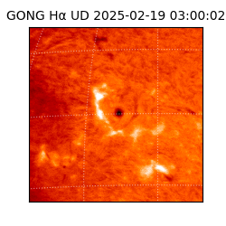 gong - 2025-02-19T03:00:02