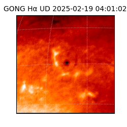 gong - 2025-02-19T04:01:02