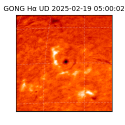 gong - 2025-02-19T05:00:02