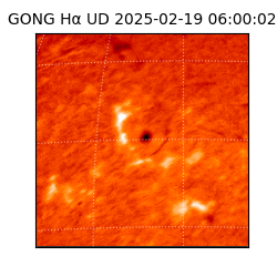 gong - 2025-02-19T06:00:02