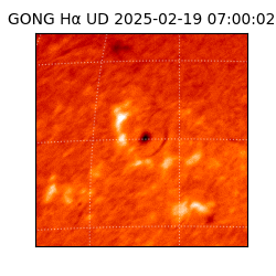 gong - 2025-02-19T07:00:02