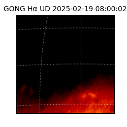gong - 2025-02-19T08:00:02