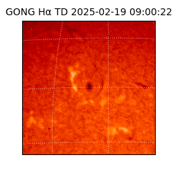 gong - 2025-02-19T09:00:22