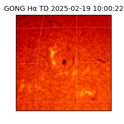 gong - 2025-02-19T10:00:22