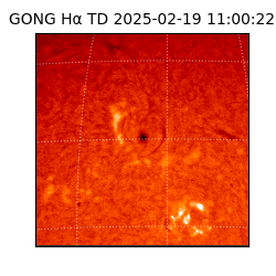 gong - 2025-02-19T11:00:22