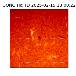 gong - 2025-02-19T13:00:22