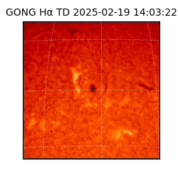 gong - 2025-02-19T14:03:22