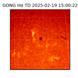 gong - 2025-02-19T15:00:22