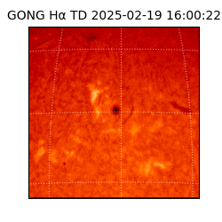 gong - 2025-02-19T16:00:22