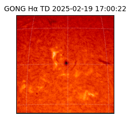 gong - 2025-02-19T17:00:22