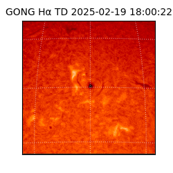 gong - 2025-02-19T18:00:22