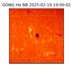 gong - 2025-02-19T19:00:02
