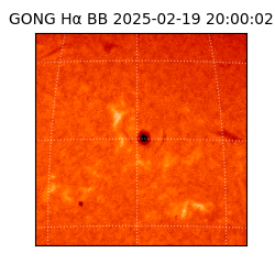 gong - 2025-02-19T20:00:02