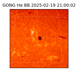 gong - 2025-02-19T21:00:02