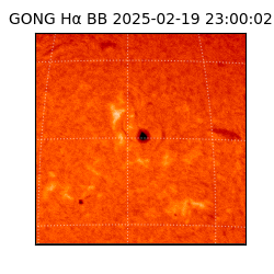 gong - 2025-02-19T23:00:02