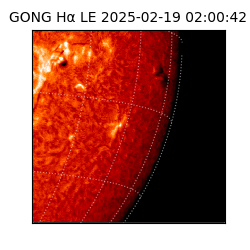 gong - 2025-02-19T02:00:42