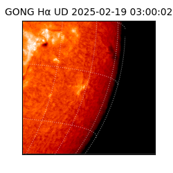 gong - 2025-02-19T03:00:02