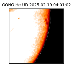 gong - 2025-02-19T04:01:02