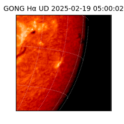 gong - 2025-02-19T05:00:02