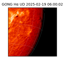 gong - 2025-02-19T06:00:02
