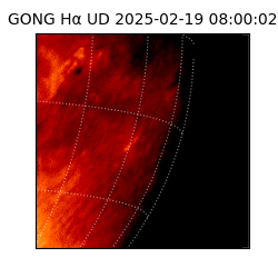 gong - 2025-02-19T08:00:02