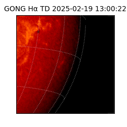 gong - 2025-02-19T13:00:22
