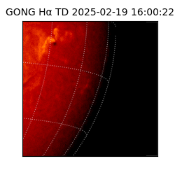 gong - 2025-02-19T16:00:22