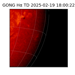 gong - 2025-02-19T18:00:22