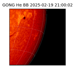 gong - 2025-02-19T21:00:02