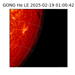 gong - 2025-02-19T01:00:42