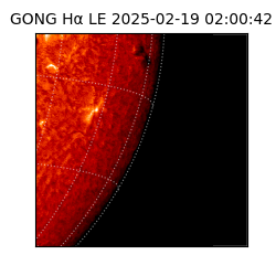gong - 2025-02-19T02:00:42