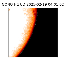gong - 2025-02-19T04:01:02