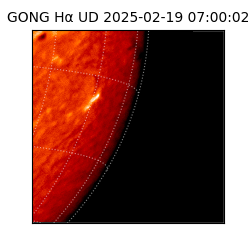 gong - 2025-02-19T07:00:02