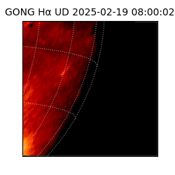 gong - 2025-02-19T08:00:02
