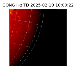 gong - 2025-02-19T10:00:22