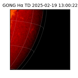 gong - 2025-02-19T13:00:22