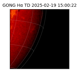 gong - 2025-02-19T15:00:22